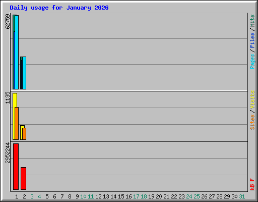 Daily usage for January 2026