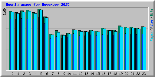 Hourly usage for November 2025
