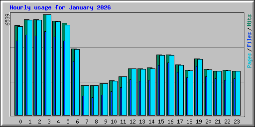Hourly usage for January 2026